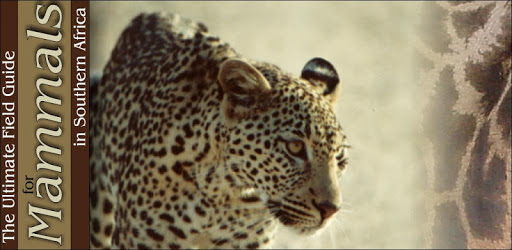 Ultimate Mammals Africa PC screenshot