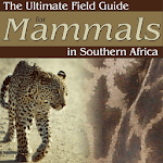 Ultimate Mammals Africa for PC