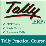 Learn Tally Erp with Gst icon