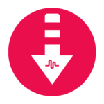 Download.ly Save Videos - TikTok icon