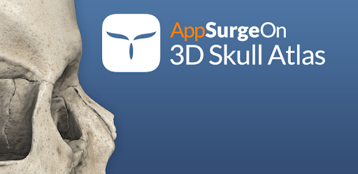 3D Skull Atlas PC screenshot 3D Skull Atlas PC screenshot