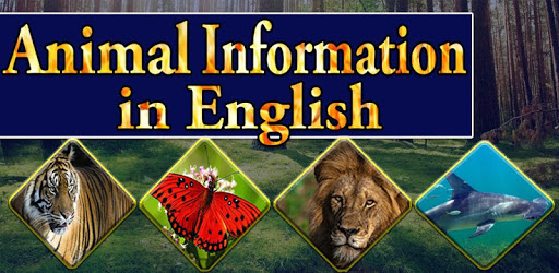 Animal information App PC screenshot Animal information App PC screenshot