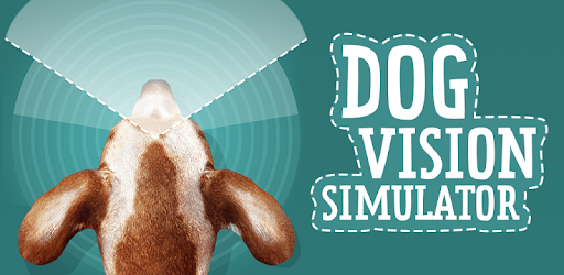 Dog Vision Simulator PC screenshot