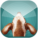 Dog Vision Simulator for PC
