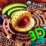 3D Cell + for PC 3D Cell + for PC