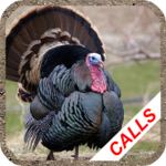 Turkey calls icon