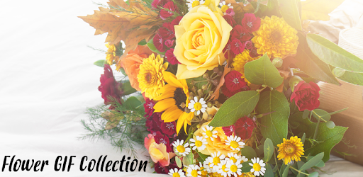 Flower GIF 2018 PC screenshot Flower GIF 2018 PC screenshot