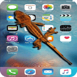 Gecko On Screen for PC