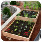 Vegetable Garden Ideas icon
