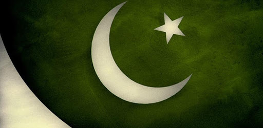 Constitution of Pakistan PC screenshot