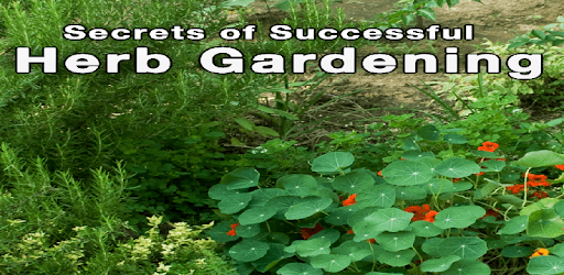 Herb Garden PC screenshot