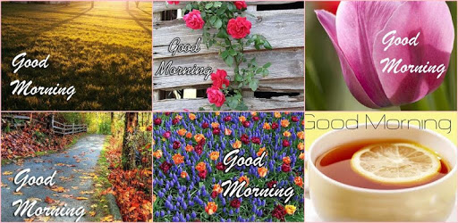 Good Morning Images 2017 PC screenshot
