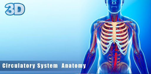 Circulatory System Anatomy PC screenshot