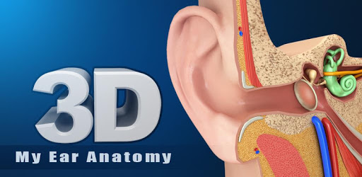 My Ear Anatomy PC screenshot