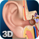 My Ear Anatomy icon