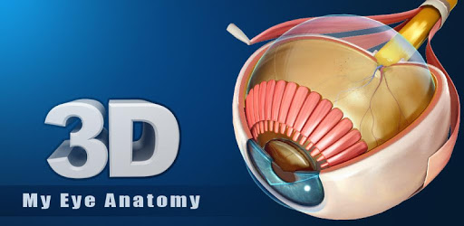 My Eye Anatomy PC screenshot
