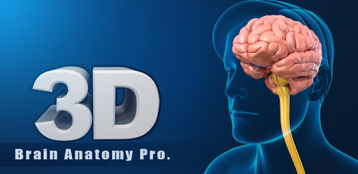 Brain Anatomy Pro. PC screenshot