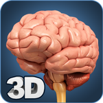 Brain Anatomy Pro. icon