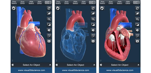 My Heart Anatomy PC screenshot