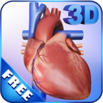My Heart Anatomy icon