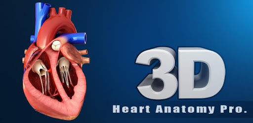 Heart Anatomy Pro. PC screenshot