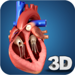 Heart Anatomy Pro. icon