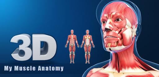 My Muscle Anatomy PC screenshot