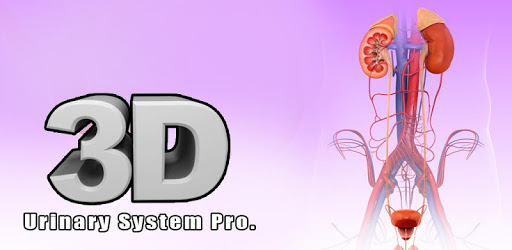 Urinary System Pro. PC screenshot
