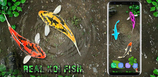 Fish Live Wallpaper Free: Aquarium Background 2018 PC screenshot