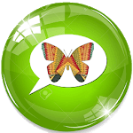 BodoChat for PC