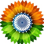 Indian Browser App icon