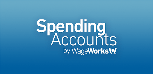 Spending Account (CHSA) PC screenshot