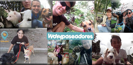 Paseadores Wakypet PC screenshot Paseadores Wakypet PC screenshot