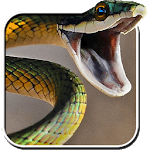 Snake Live Wallpaper PRO Free for PC Snake Live Wallpaper PRO Free for PC