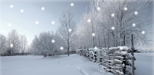Winter Snow Live Wallpaper PRO PC screenshot Winter Snow Live Wallpaper PRO PC screenshot