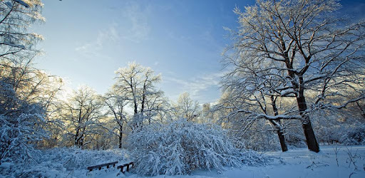 Winter Snow LWP HD (PRO) PC screenshot
