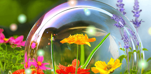 HD Nature Wallpapers PC screenshot