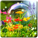 HD Nature Wallpapers icon
