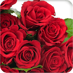 Romantic Rose Wallpaper icon