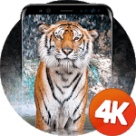 Animals wallpapers 4K for PC