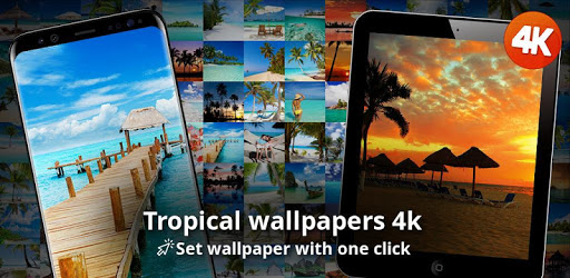 Tropical wallpapers 4k PC screenshot Tropical wallpapers 4k PC screenshot
