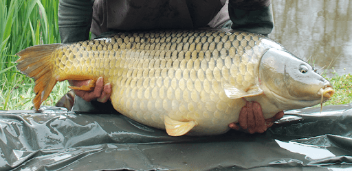 River Monsters Fish On! PC screenshot River Monsters Fish On! PC screenshot