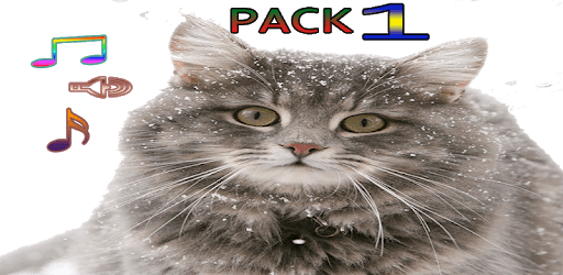 Cat Ringtones Vol1 PC screenshot Cat Ringtones Vol1 PC screenshot