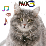 Cat Ringtones Vol3 for PC