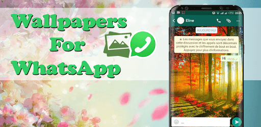 Wallpapers for WhatsApp - Chat Background PC screenshot