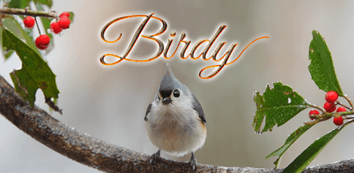 Birdy Animated Keyboard + Live Wallpaper PC screenshot Birdy Animated Keyboard + Live Wallpaper PC screenshot