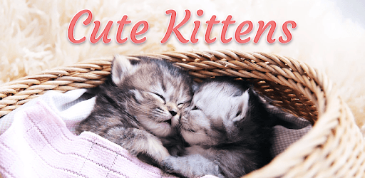 Cute Kittens Animated Keyboard + Live Wallpaper PC screenshot