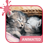 Cute Kittens Animated Keyboard + Live Wallpaper for PC