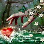 BF Abstract 3d Pictures for PC