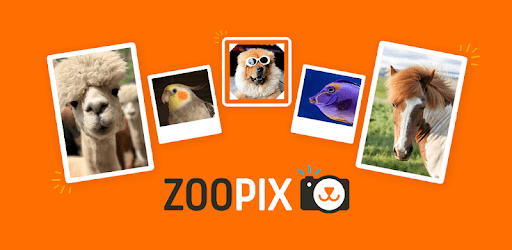 ZooPix: Where Cute Pets Rule PC screenshot